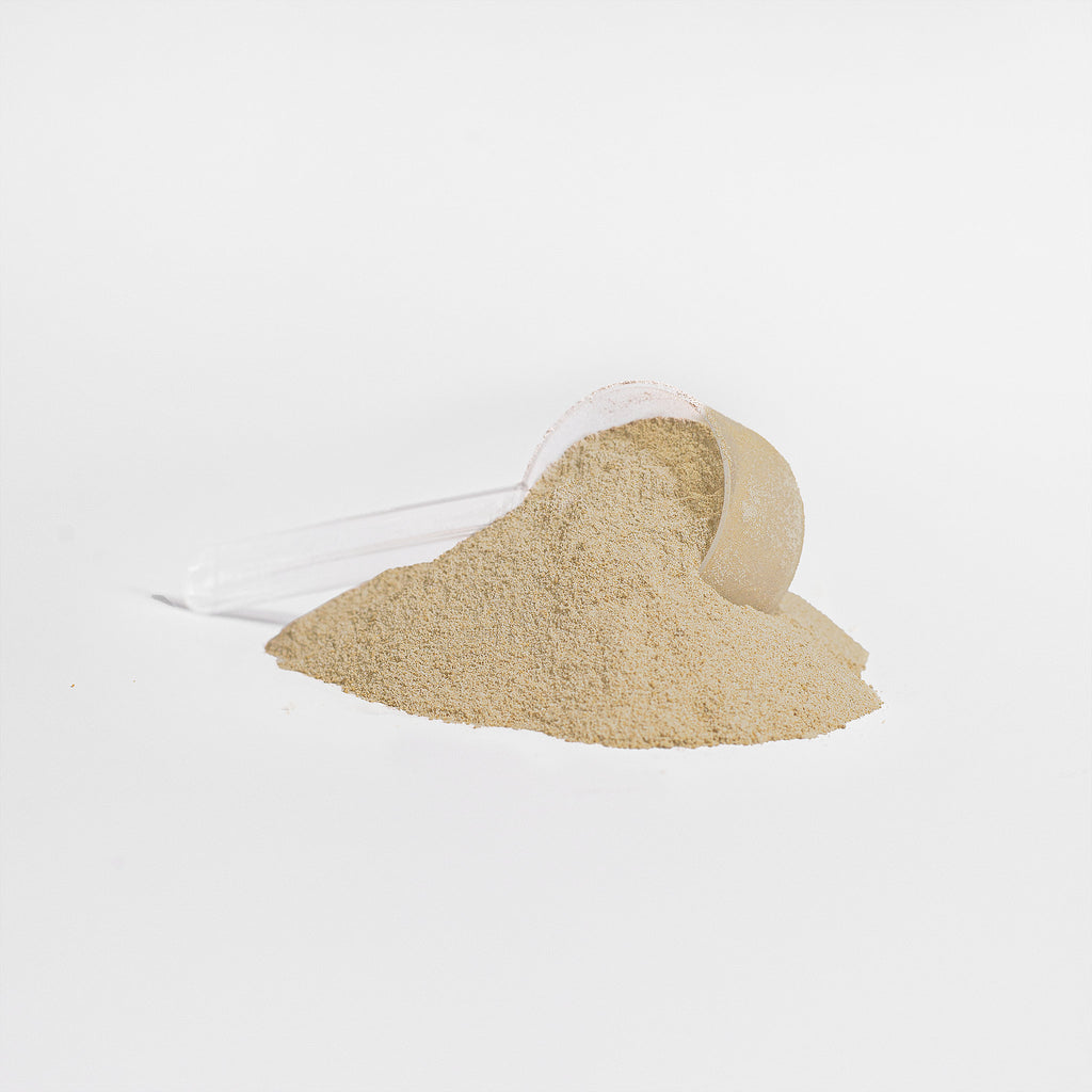Vanilla protein powder with white background