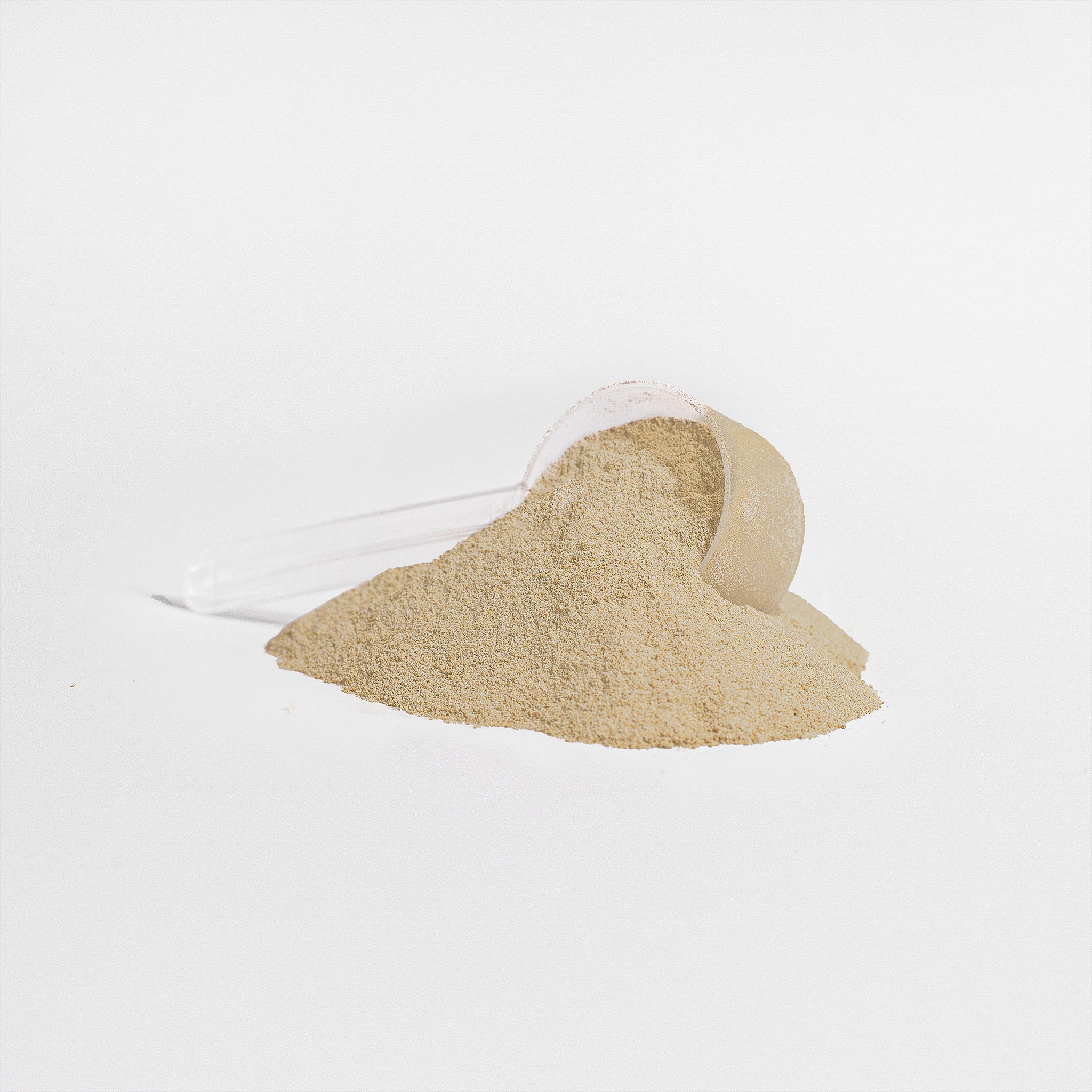 Vanilla protein powder with white background